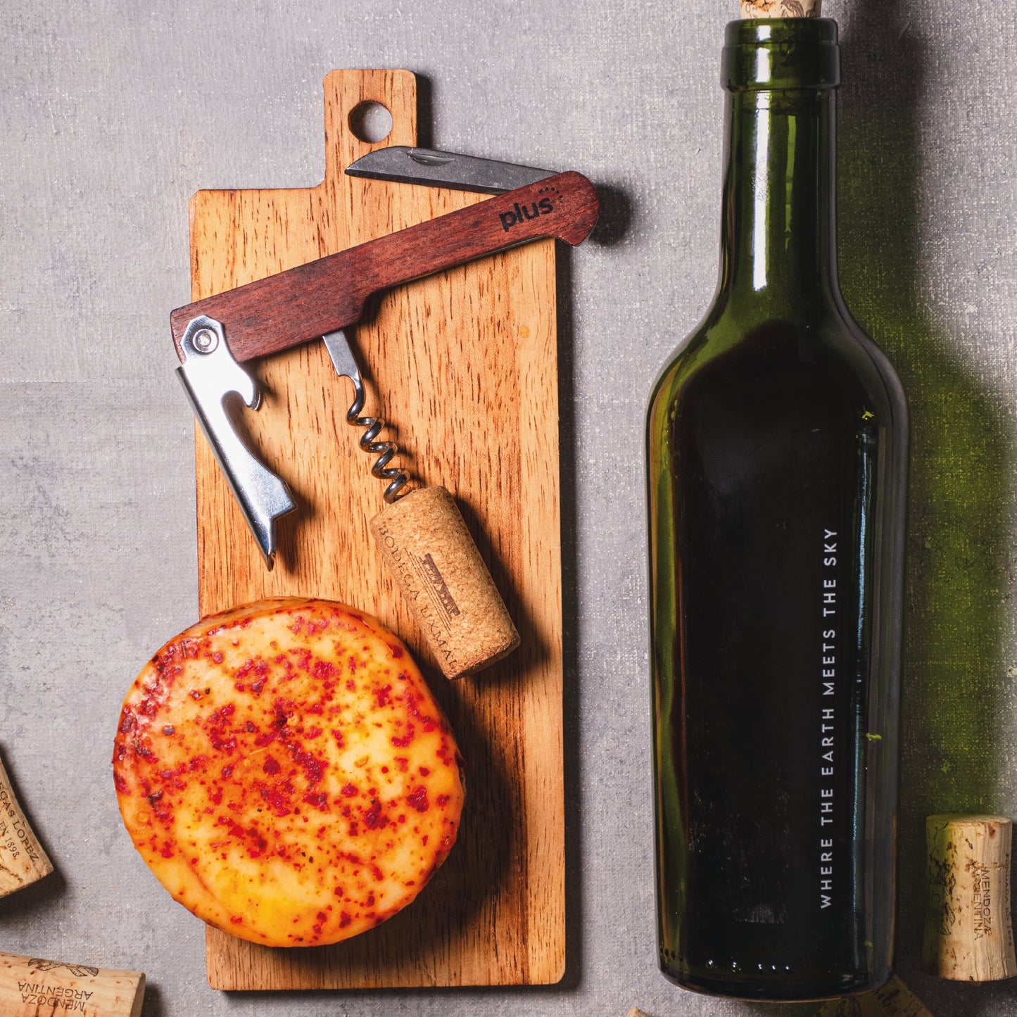 Sacacorchos mango Acacia