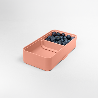 Bauletto Lunchbox S salmon